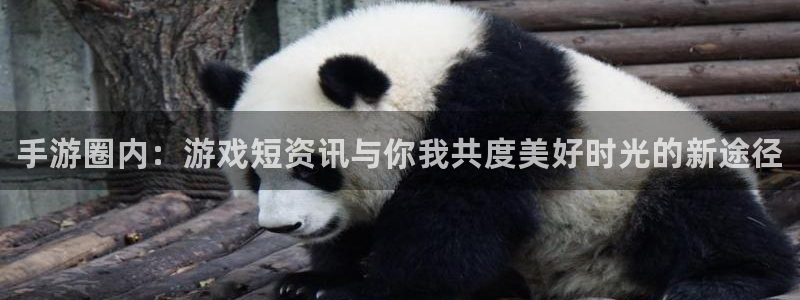 多彩娱乐主管：手游圈内：游戏短资讯与你我共度美好时光的新途径