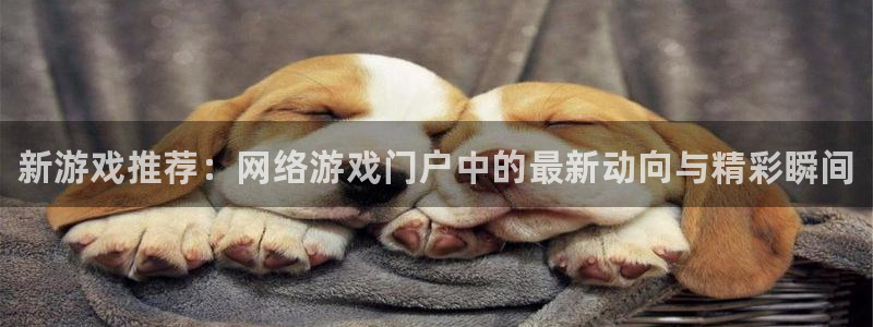 多彩娱乐测速：新游戏推荐：网络游戏门户中的最新动向与精彩瞬间