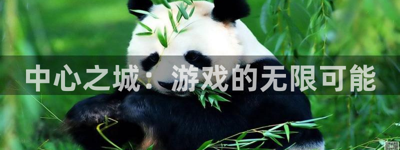 多彩娱乐平台登录线路：中心之城：游戏的无限可能