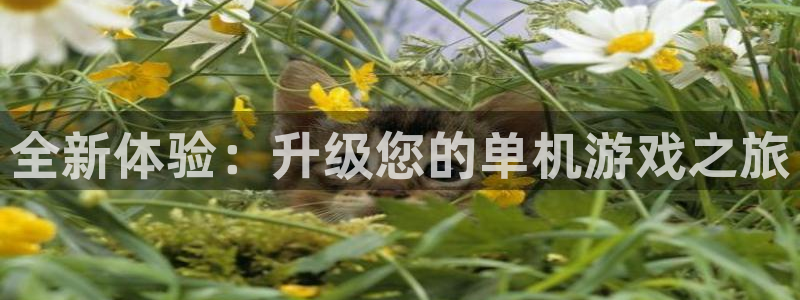 多彩娱乐平台官网注册：全新体验：升级您的单机游戏之旅
