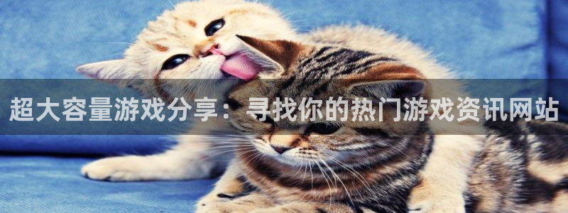 多彩娱乐网页版地址：超大容量游戏分享：寻找你的热门游戏资讯网