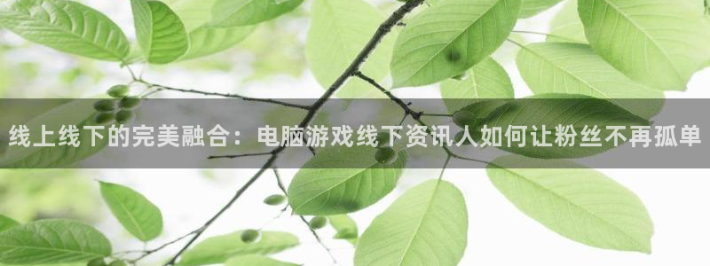 多彩娱乐网页登录入口：线上线下的完美融合：电脑游戏线下资讯人