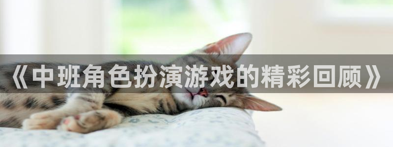 多彩娱乐官方平台：《中班角色扮演游戏的精彩回顾》