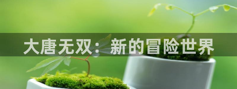 沐春多彩娱乐