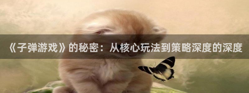 多彩娱乐平台官网入口：《子弹游戏》的秘密：从核心玩法到策略深