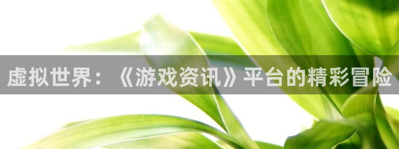 多彩娱乐的意思：虚拟世界：《游戏资讯》平台的精彩冒险