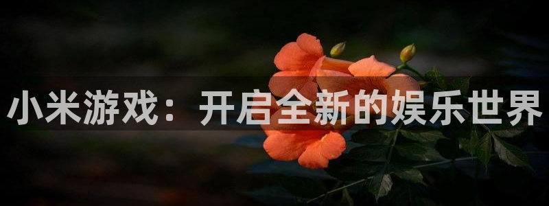 多彩娱乐网页登录入口官网：小米游戏：开启全新的娱乐世界