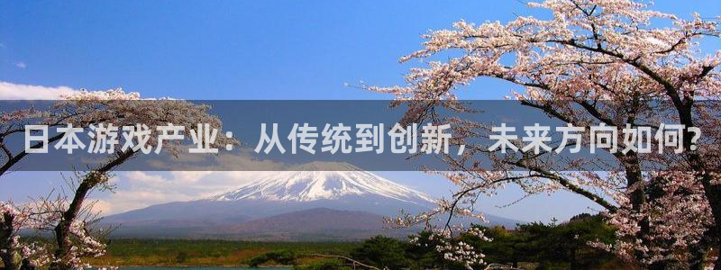 多彩娱乐平台官网入口：日本游戏产业：从传统到创新，未来方向如