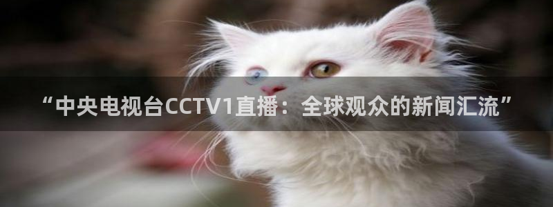 极速体育nba在线直播观看雨燕：“中央电视台CCTV1直播：全球观众的新闻汇流”
