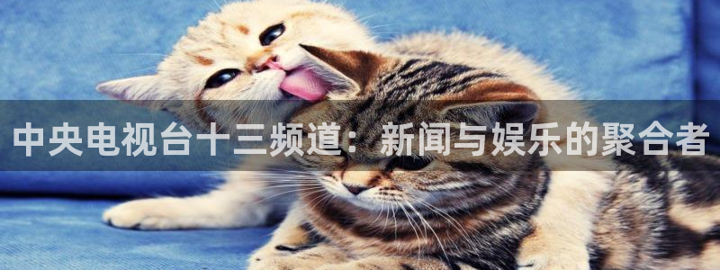 雨燕nba体育直播：中央电视台十三频道：新闻与娱乐的聚合者