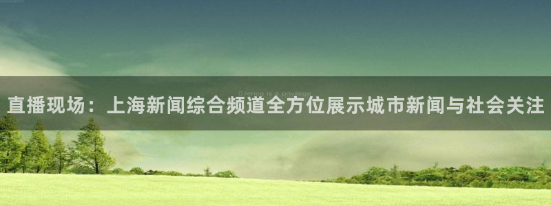 雨燕直播体育app下载ios：直播现场：上海新闻综合频道全方位展示城市新闻与社会关注