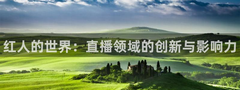 雨燕篮球直播在线观看：红人的世界：直播领域的创新与影响力